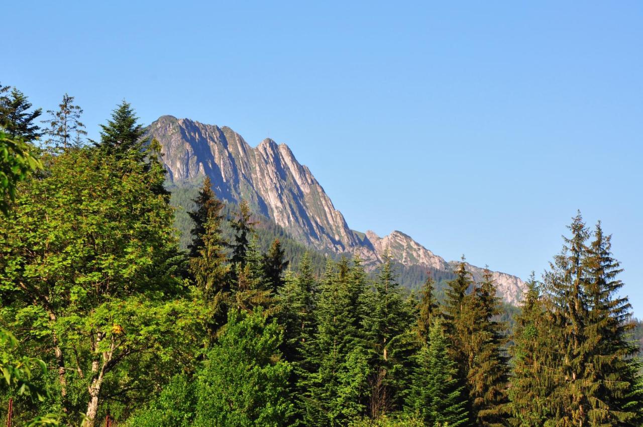 Msc Apartments Honeymoon Zakopane Luaran gambar
