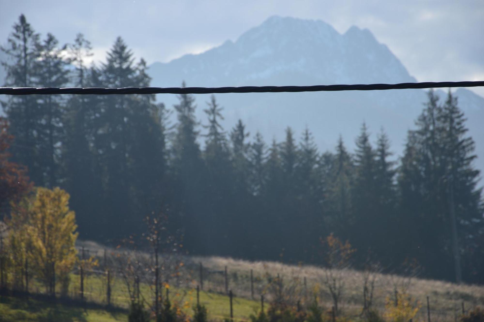 Msc Apartments Honeymoon Zakopane Bilik gambar