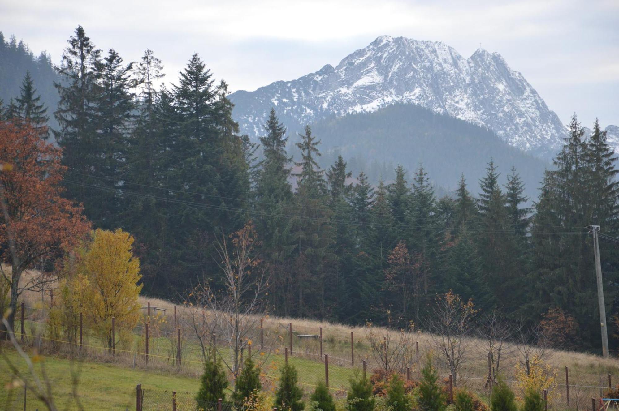 Msc Apartments Honeymoon Zakopane Bilik gambar