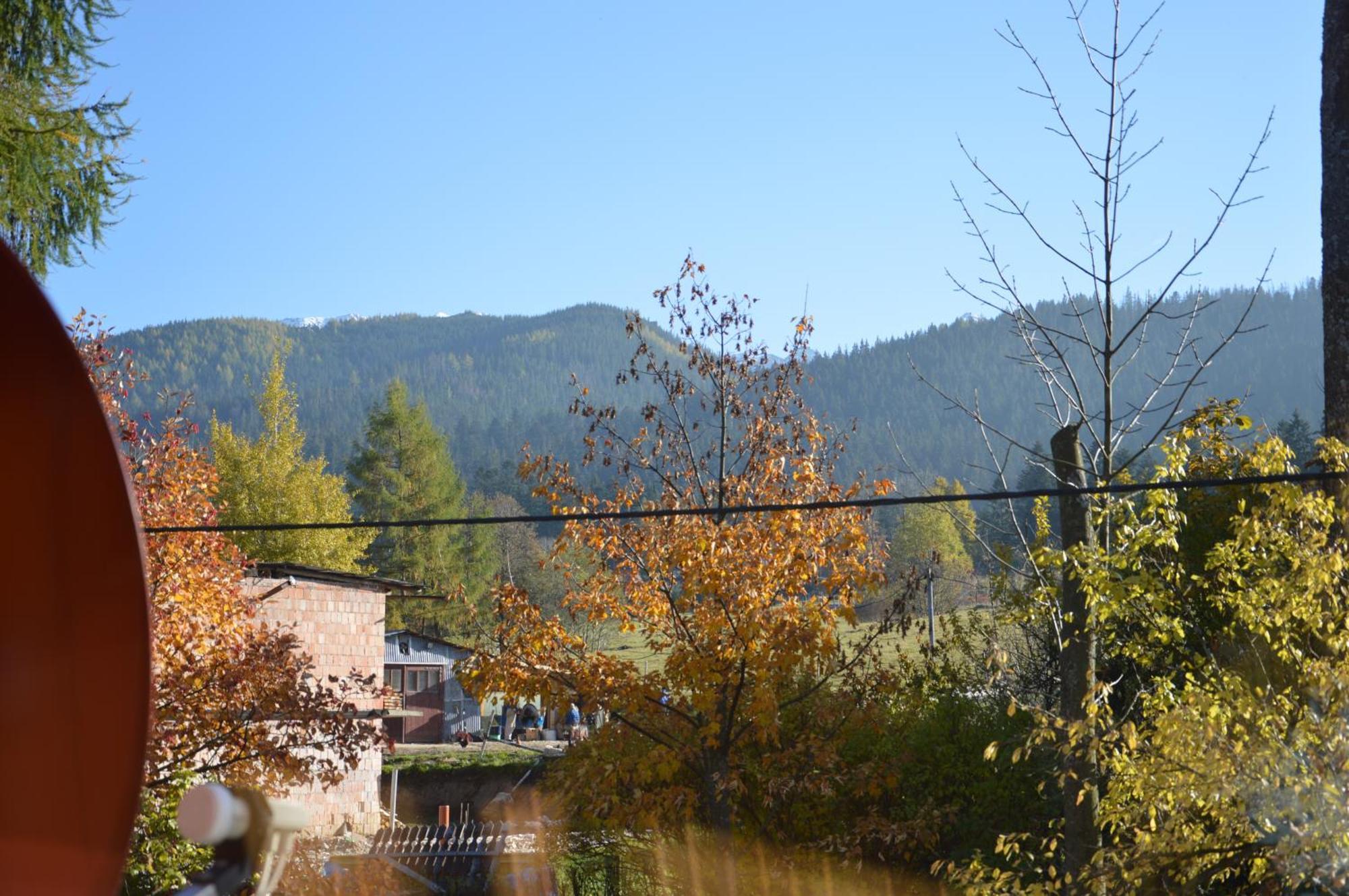 Msc Apartments Honeymoon Zakopane Bilik gambar