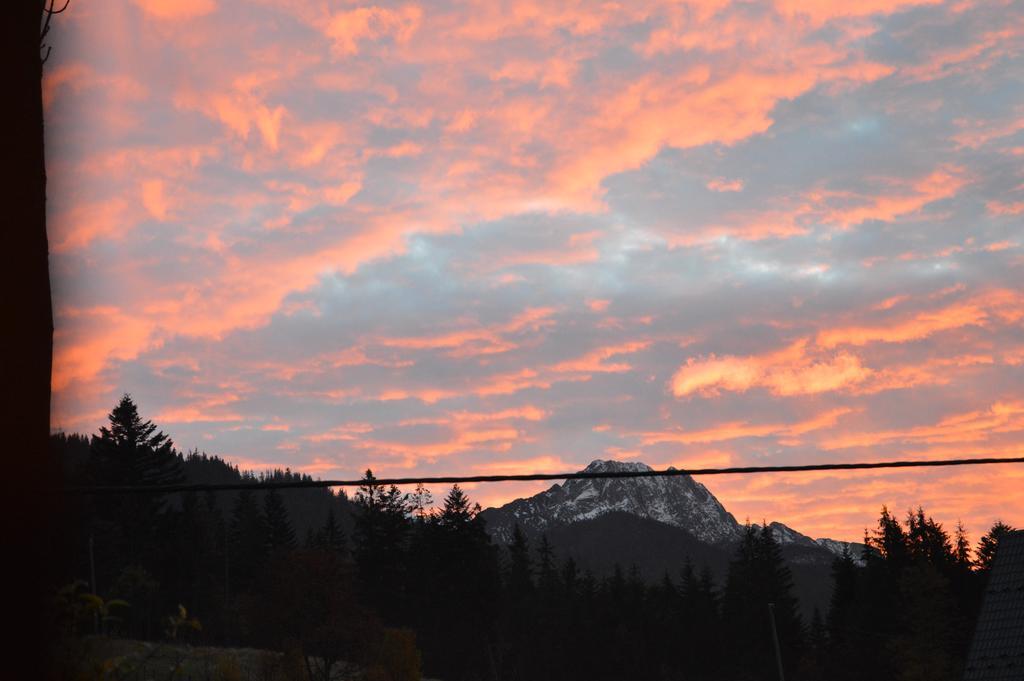 Msc Apartments Honeymoon Zakopane Luaran gambar