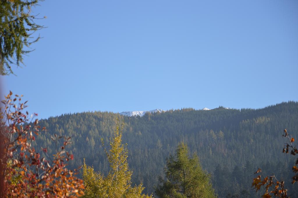 Msc Apartments Honeymoon Zakopane Bilik gambar