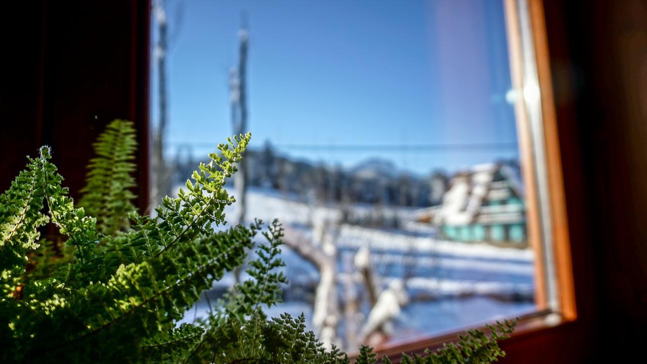 Msc Apartments Honeymoon Zakopane Luaran gambar