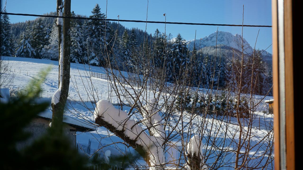 Msc Apartments Honeymoon Zakopane Luaran gambar