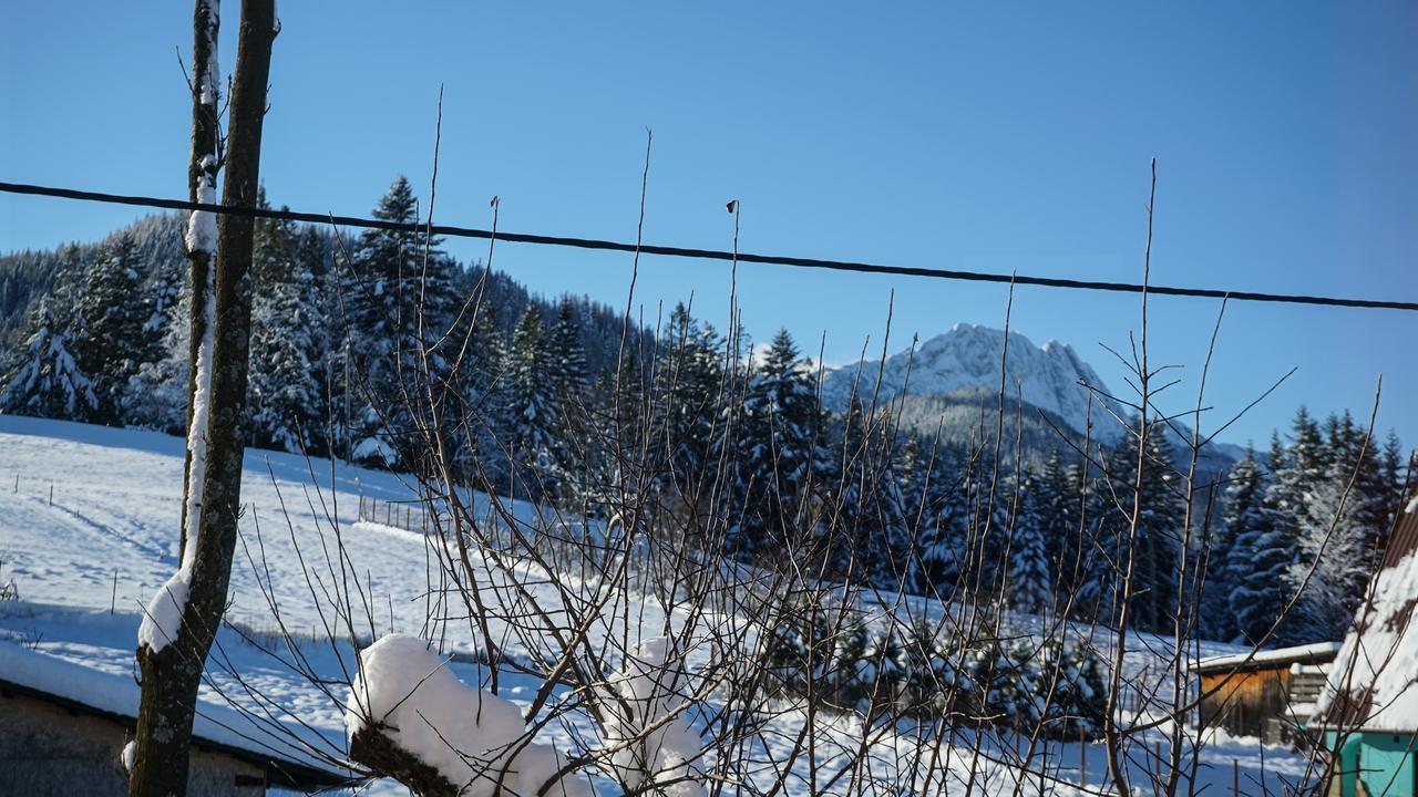 Msc Apartments Honeymoon Zakopane Luaran gambar