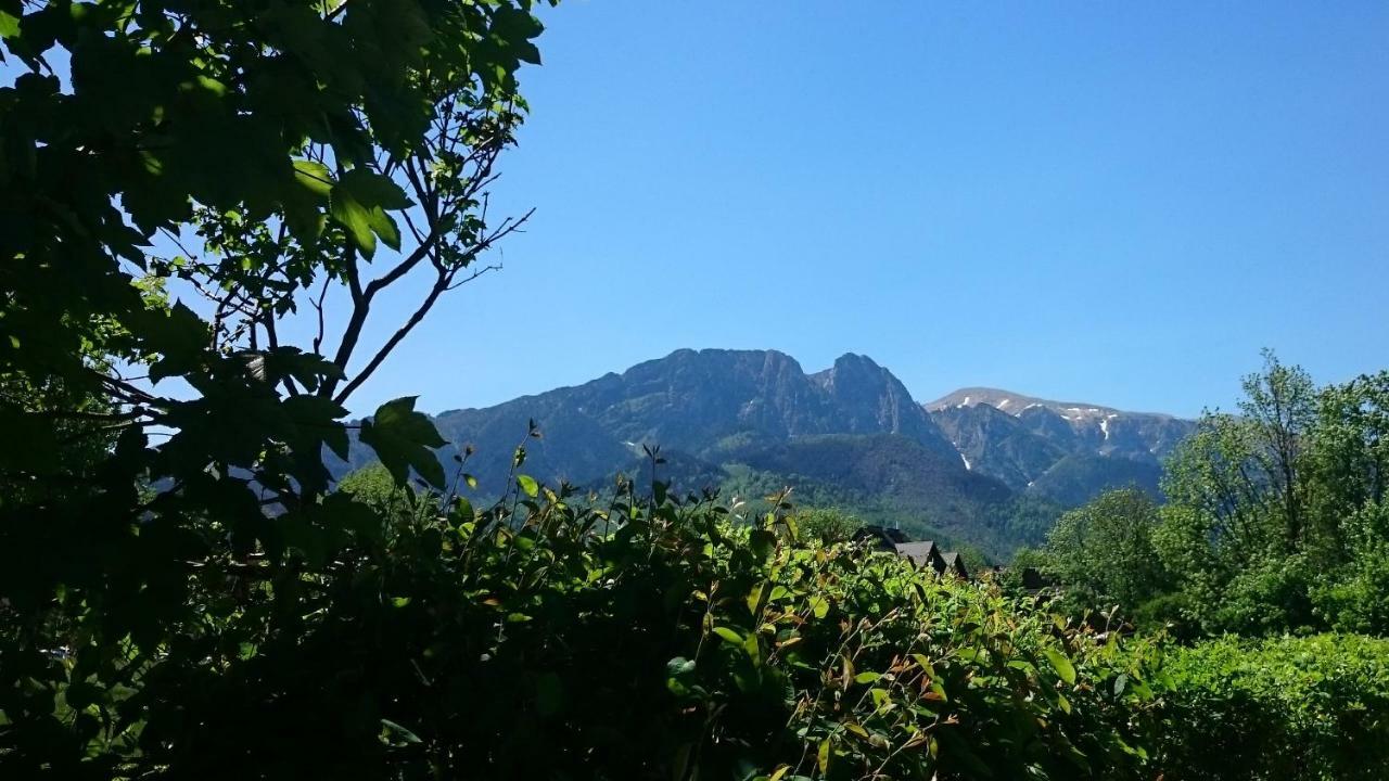 Msc Apartments Honeymoon Zakopane Luaran gambar